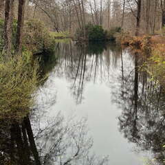 24-12-08 12-09-02 1766